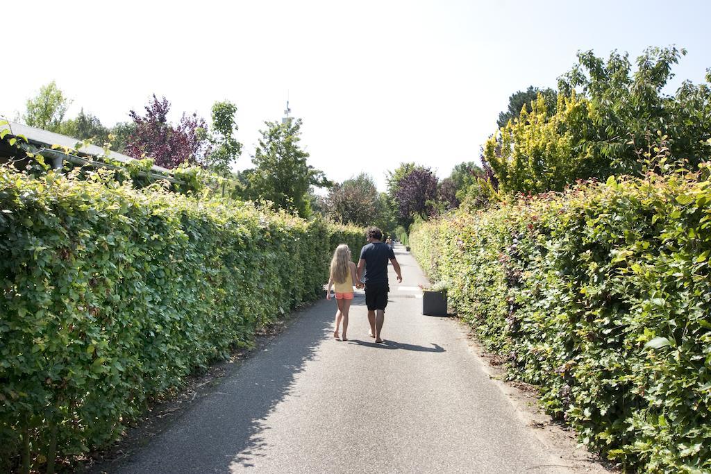 Bungalows - Bungalowpark Mooyeveld - Uniek Gelegen In De Duinen! エグモント・ビネン エクステリア 写真