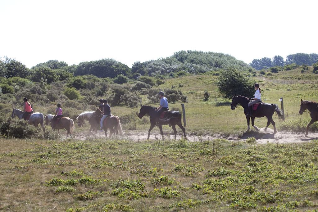 Bungalows - Bungalowpark Mooyeveld - Uniek Gelegen In De Duinen! エグモント・ビネン エクステリア 写真
