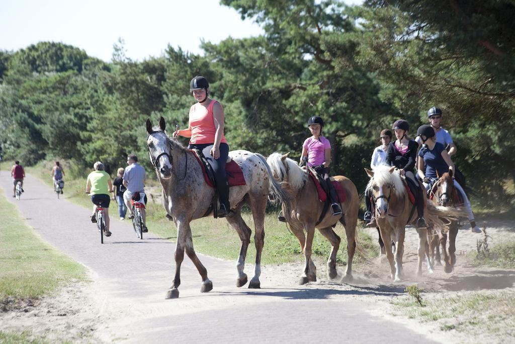 Bungalows - Bungalowpark Mooyeveld - Uniek Gelegen In De Duinen! エグモント・ビネン エクステリア 写真