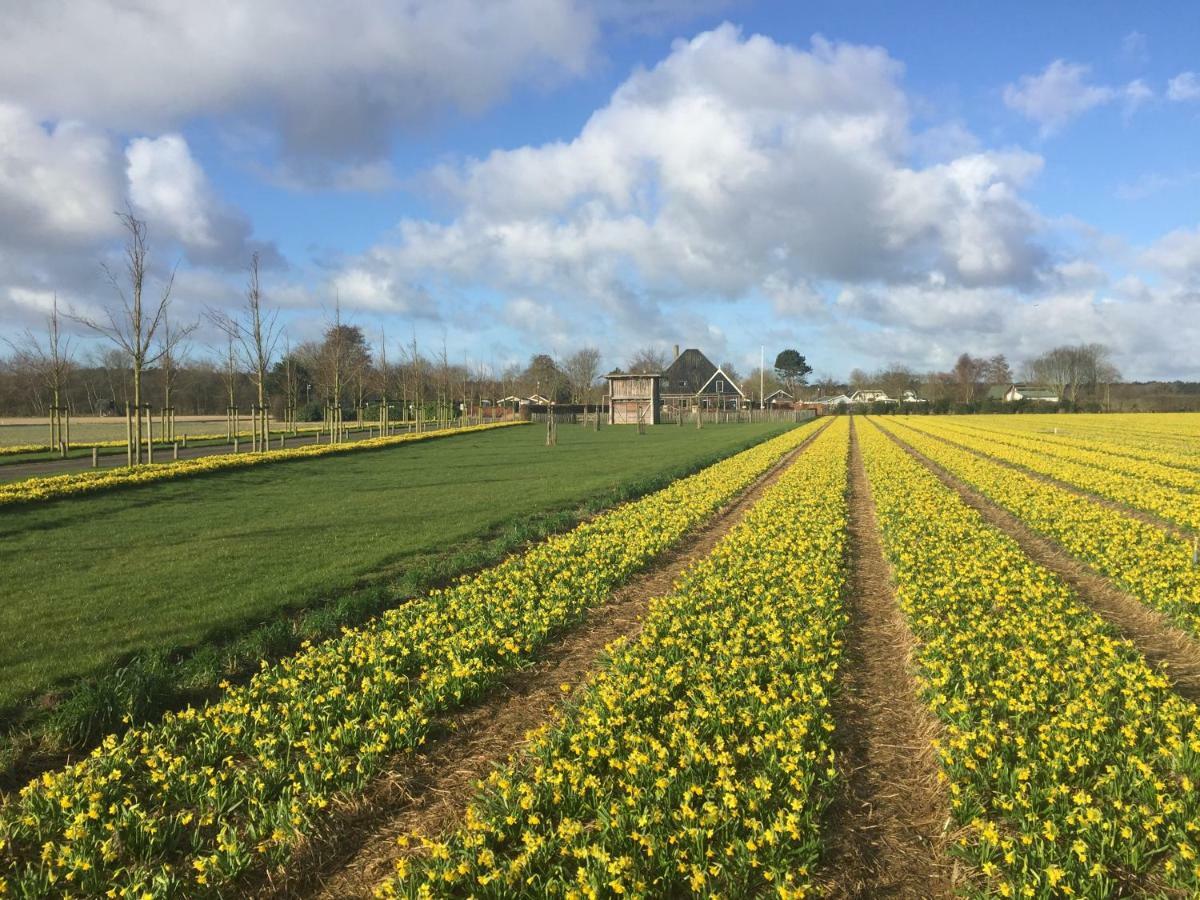 Bungalows - Bungalowpark Mooyeveld - Uniek Gelegen In De Duinen! エグモント・ビネン エクステリア 写真
